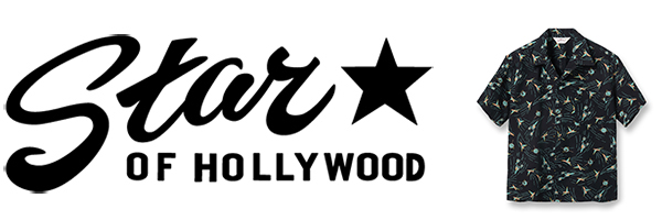 STAR OF HOLLYWOOD 